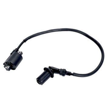Катушка зажигания Ignition coil-G-AT200L 349369 фото